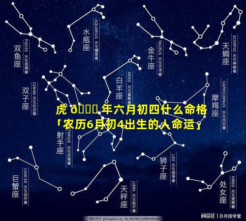虎 🐅 年六月初四什么命格「农历6月初4出生的人命运」